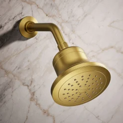 Round single-function filtered showerhead, 1.75 gpm