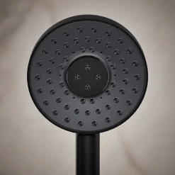 Round three-function handshower, 2.5 gpm