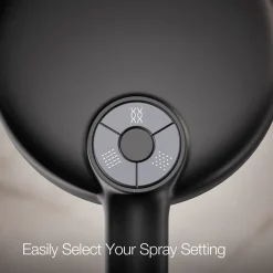 Round three-function handshower, 2.5 gpm