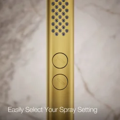 Round two-function handshower, 2.5 gpm