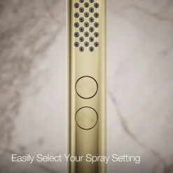 Round two-function handshower, 1.75 gpm