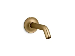 Shower arm and flange