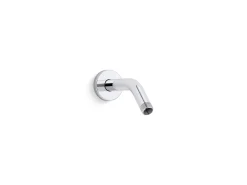 Shower arm and flange