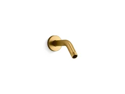 Shower arm and flange