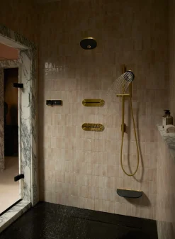 Shower arm and flange