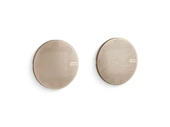 Shower speakers