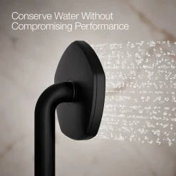 Single-function handshower, 2.5 gpm