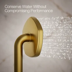 Single-function handshower, 2.5 gpm