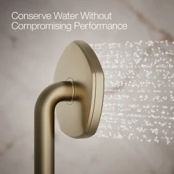 Single-function handshower, 2.5 gpm