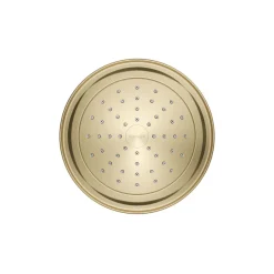 Single-function showerhead, 2.5 gpm