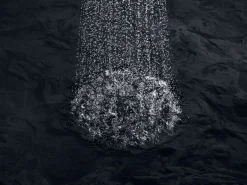 Single-function showerhead, 1.75 gpm