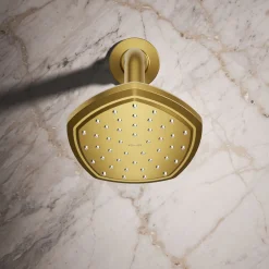Single-function showerhead, 2.5 gpm