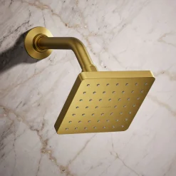 Single-function showerhead, 2.5 gpm