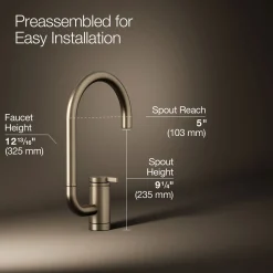 Single-handle bar sink faucet with two-function extended-reach spout