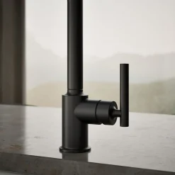 Single-handle kitchen sink faucet with side sprayer
