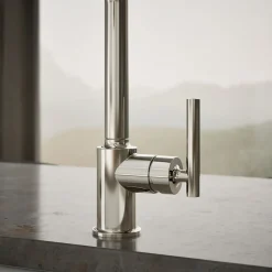 Single-handle kitchen sink faucet with side sprayer
