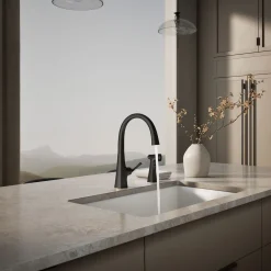Single-handle kitchen sink faucet with two-function side sprayer