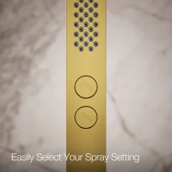 Square two-function handshower, 2.5 gpm