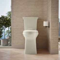 Tall ContinuousClean two-piece elongated toilet with skirted trapway, 1.28 gpf