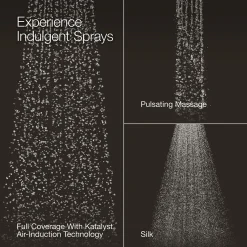 Three-function showerhead, 2.5 gpm