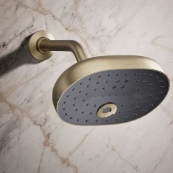 Three-function showerhead, 2.5 gpm