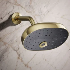 Three-function showerhead, 2.5 gpm