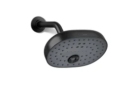 Three-function showerhead, 2.5 gpm