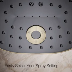 Three-function showerhead, 2.5 gpm