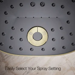 Three-function showerhead, 2.5 gpm