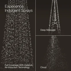 Three-function showerhead, 2.5 gpm