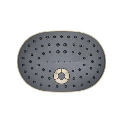 Three-function showerhead, 2.5 gpm