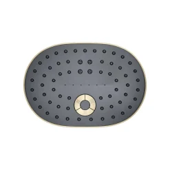 Three-function showerhead, 2.5 gpm