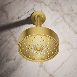 Three-function showerhead, 2.5 gpm