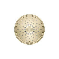 Three-function showerhead, 2.5 gpm