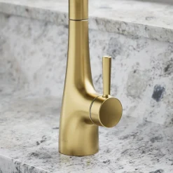 Transitional beverage faucet