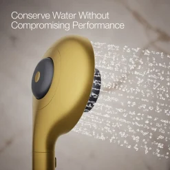 Two-function handshower with all-in-one cleansing device, 1.75 gpm