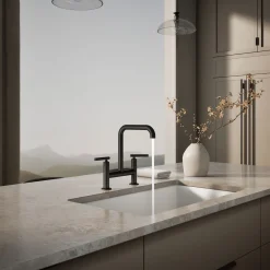 Two-hole bridge kitchen sink faucet