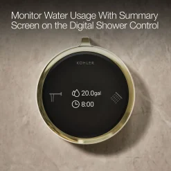Two-outlet bath/shower digital control