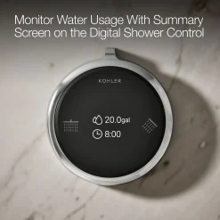 Two-outlet shower digital control