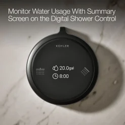 Two-outlet shower digital control