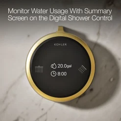 Two-outlet shower digital control