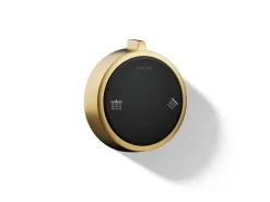 Two-outlet shower digital control