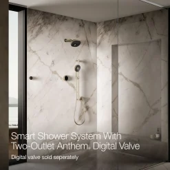 Two-outlet shower digital control