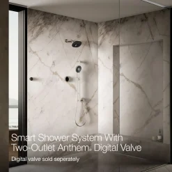 Two-outlet shower digital control