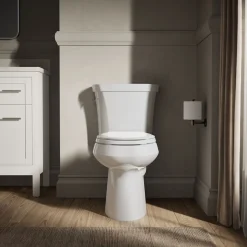 Two-piece elongated toilet, dual-flush