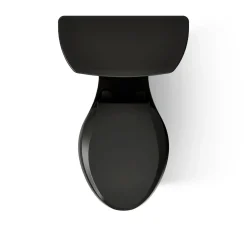 Two-piece elongated toilet, dual-flush