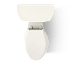 Two-piece elongated toilet, dual-flush