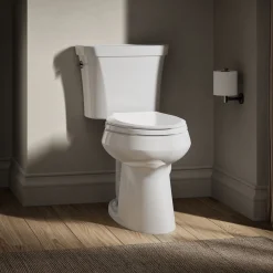 Two-piece elongated toilet, dual-flush