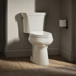 Two-piece elongated toilet, dual-flush