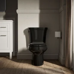 Two-piece elongated toilet, dual-flush